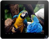 Планшет Ramos W13pro